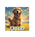 Golden Retriever ！（個別スタンプ：1）