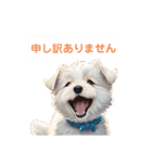 仔犬DE日常のひとこと（個別スタンプ：10）