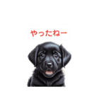 仔犬DE日常のひとこと（個別スタンプ：13）