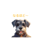 仔犬DE日常のひとこと（個別スタンプ：16）