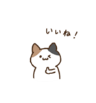 ゆるいみけねこ 日常会話（個別スタンプ：4）