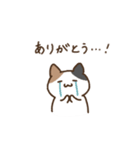 ゆるいみけねこ 日常会話（個別スタンプ：5）