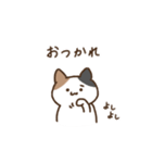 ゆるいみけねこ 日常会話（個別スタンプ：22）