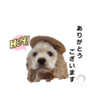 禮くんです♡♡（個別スタンプ：9）