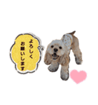 禮くんです♡♡（個別スタンプ：10）
