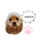 禮くんです♡♡（個別スタンプ：11）