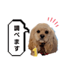 禮くんです♡♡（個別スタンプ：16）