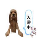 禮くんです♡♡（個別スタンプ：17）
