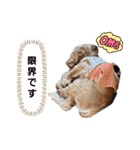 禮くんです♡♡（個別スタンプ：21）