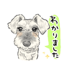 犬好き集合！！！かわいいワンちゃんズ♡（個別スタンプ：2）