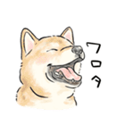 犬好き集合！！！かわいいワンちゃんズ♡（個別スタンプ：5）