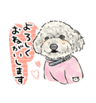 犬好き集合！！！かわいいワンちゃんズ♡（個別スタンプ：9）