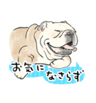 犬好き集合！！！かわいいワンちゃんズ♡（個別スタンプ：12）