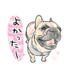 犬好き集合！！！かわいいワンちゃんズ♡（個別スタンプ：17）