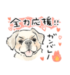 犬好き集合！！！かわいいワンちゃんズ♡（個別スタンプ：19）