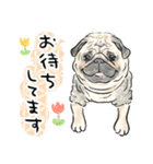 犬好き集合！！！かわいいワンちゃんズ♡（個別スタンプ：26）