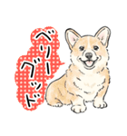 犬好き集合！！！かわいいワンちゃんズ♡（個別スタンプ：29）