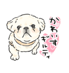 犬好き集合！！！かわいいワンちゃんズ♡（個別スタンプ：39）