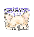 犬好き集合！！！かわいいワンちゃんズ♡（個別スタンプ：40）