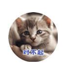 猫ちゃん中国語（個別スタンプ：3）