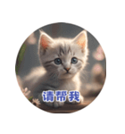 猫ちゃん中国語（個別スタンプ：6）