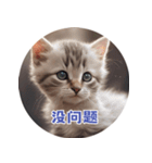 猫ちゃん中国語（個別スタンプ：8）