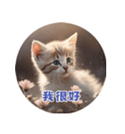 猫ちゃん中国語（個別スタンプ：11）