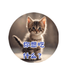 猫ちゃん中国語（個別スタンプ：13）