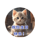 猫ちゃん中国語（個別スタンプ：17）