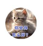 猫ちゃん中国語（個別スタンプ：18）