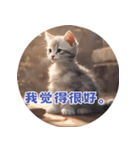 猫ちゃん中国語（個別スタンプ：19）