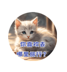 猫ちゃん中国語（個別スタンプ：20）