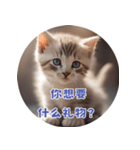 猫ちゃん中国語（個別スタンプ：21）