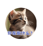 猫ちゃん中国語（個別スタンプ：22）