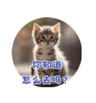 猫ちゃん中国語（個別スタンプ：23）