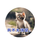 猫ちゃん中国語（個別スタンプ：24）