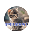 猫ちゃん中国語（個別スタンプ：25）