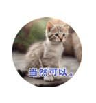 猫ちゃん中国語（個別スタンプ：26）