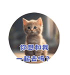 猫ちゃん中国語（個別スタンプ：27）