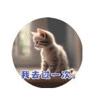 猫ちゃん中国語（個別スタンプ：28）