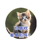 猫ちゃん中国語（個別スタンプ：29）