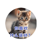 猫ちゃん中国語（個別スタンプ：30）