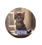 猫ちゃん中国語（個別スタンプ：31）