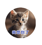 猫ちゃん中国語（個別スタンプ：32）