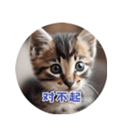 猫ちゃん中国語（個別スタンプ：33）