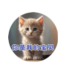 猫ちゃん中国語（個別スタンプ：34）