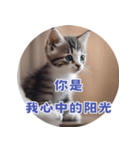 猫ちゃん中国語（個別スタンプ：36）