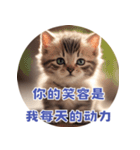 猫ちゃん中国語（個別スタンプ：37）