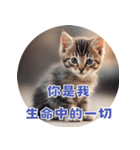 猫ちゃん中国語（個別スタンプ：38）