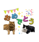 てんちゃんとぷっぷ（個別スタンプ：18）